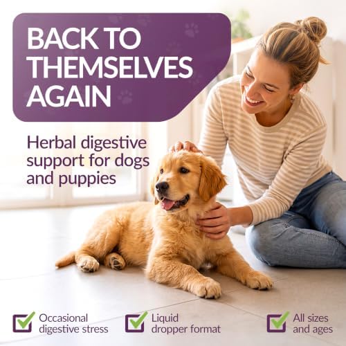 Amber NaturalZ Paxaid Dog Digestive Rescue Drops, Herbal, 1 FL OZ | Herbal digestive support drops for dogs & puppies; supports gut health, firm stools, normal appetite; USA-made
