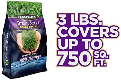 Pennington Smart Seed Dense Shade Grass Seed, 3 lb (100086851)