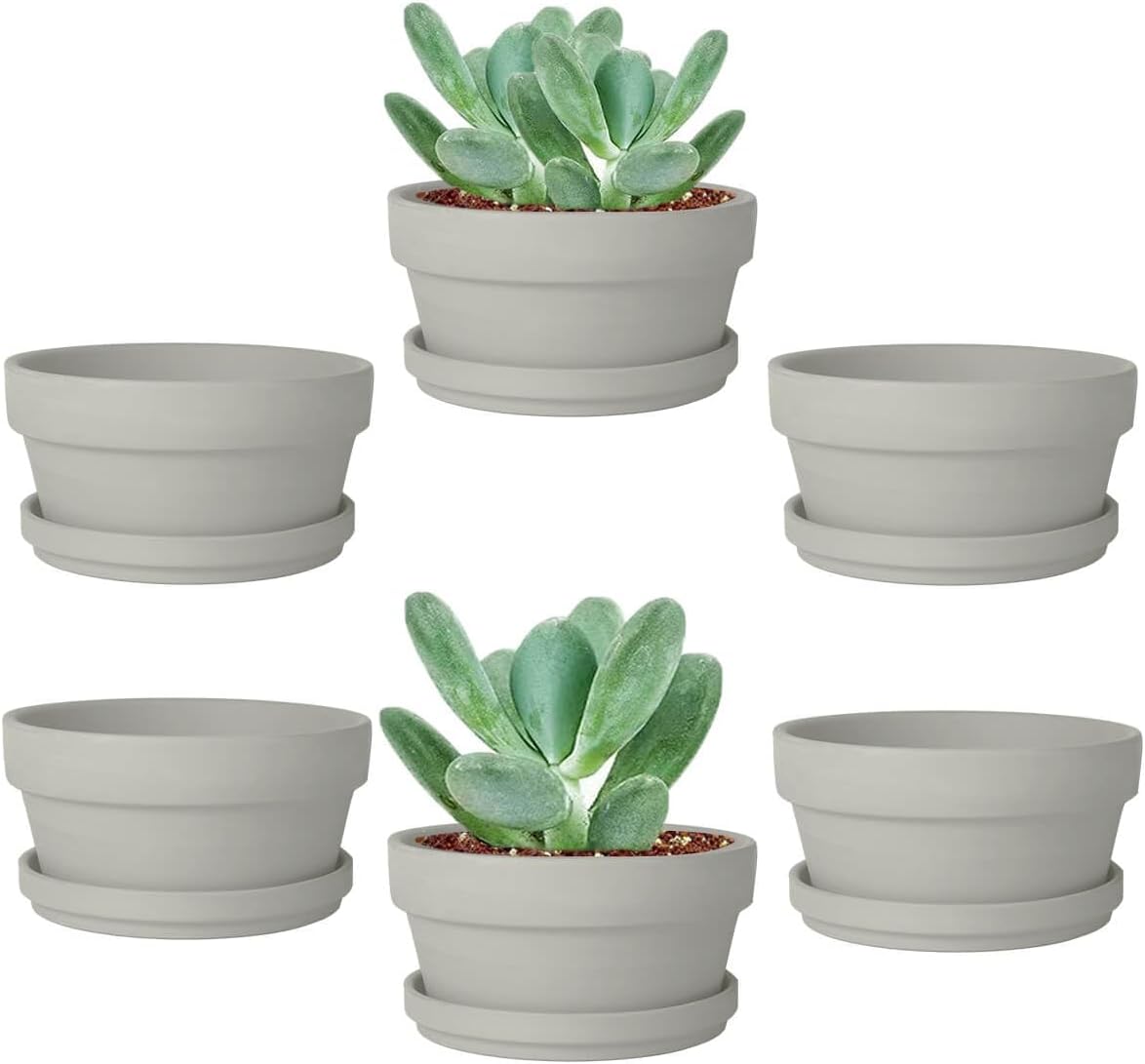 vensovo 3.7 Inch Terracotta Shallow Succulent Pots with Saucers, 6 Pack