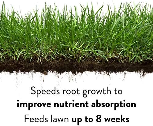 GreenView Lawn Food 48 lb. Bag, Covers 15,000 sq. ft. | 22-0-4 NPK formula - Restores soil nutrients - 8 weeks continuous feeding