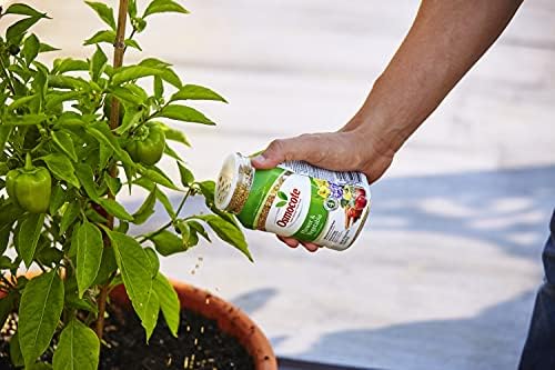 Osmocote Smart-Release Plant Food Flower & Vegetable, Plant Fertilizer, 1 lb. (12-Pack)