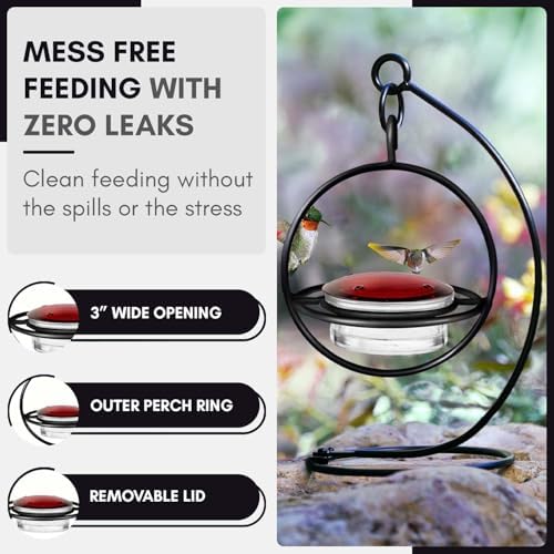 Hummingbird Feeder for Outdoors Hanging, 3.4 OZ Hummingbird Feeders, Glass Bowl with 4 Feeding Ports, Leak Proof Lid & Circular Perch, Bird Feeder (1, Red)