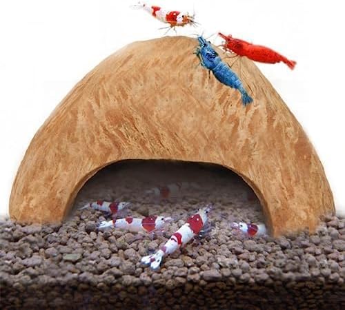 SunGrow Coconut Aquarium Shrimp Cave, Small Fish Tank Decorations Accessories, Comfortable Shelter and Breeding Area for Crustaceans, Fish Hideout Aquarium Décor for Spawning (1 piece)