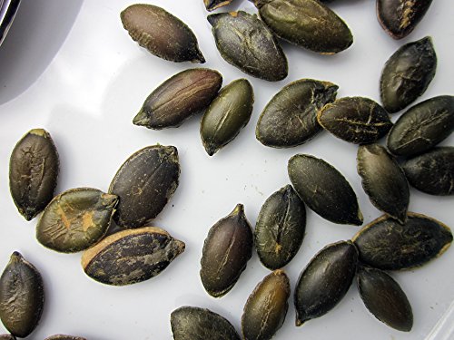 Stony Brook Brined & Roasted Pepitas, 3 ounce bags (pack of 6)
