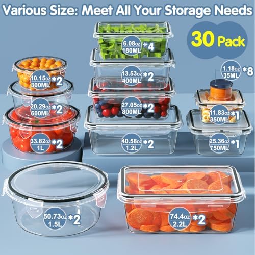 28 Pieces Food Storage Containers with Lids EXTRA LARGE Freezer Containers for Food BPA-Free Meat Fruit Vegetables Plastic Containers with lids