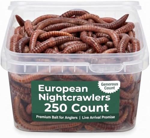 Live PANFISH European Nightcrawlers Composting Worms Fishing Worms