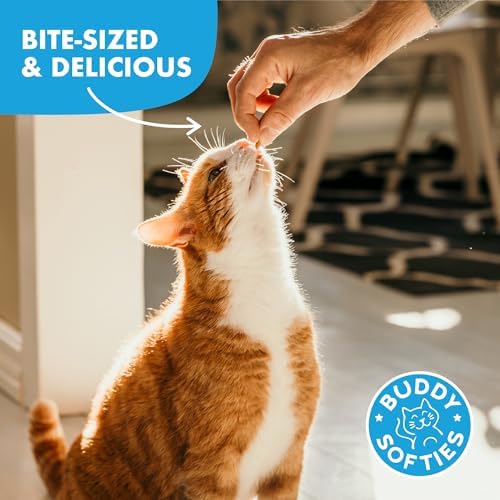 Buddy Biscuits Soft & Chewy Grain Free Cat Treats, Chicken, 3 oz. Pouch