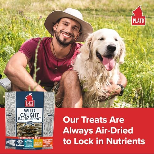 PLATO Single Ingredient Wild-Caught Baltic Sprat Dog Treats, Air-Dried Whole Fish, Omega-Rich Skin & Coat Support, 3 oz
