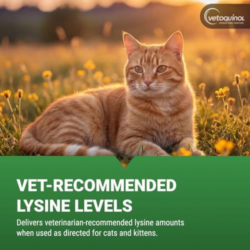 Vetoquinol Viralys - Lysine Supplement for Cats & Kittens - Supports Eye Wellness