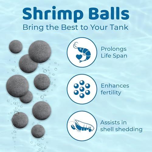 SunGrow Shrimp Balls, Aquarium Water Conditioner Balls, Successful Shedding, Increase Survival Rate, Impart Vibrance, Cool Décor with Wellness Benefits