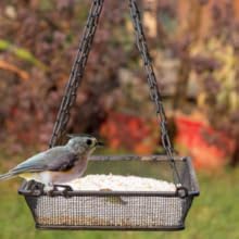 Metal Hanging Bird Feeder with Mesh Tray
