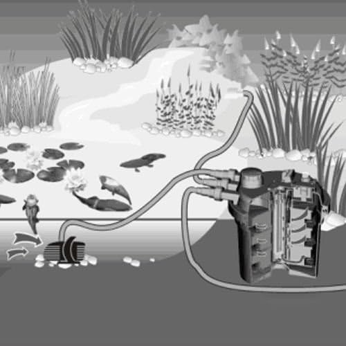 MEDA| Pressure Bio Filter 4000Gal with 13W