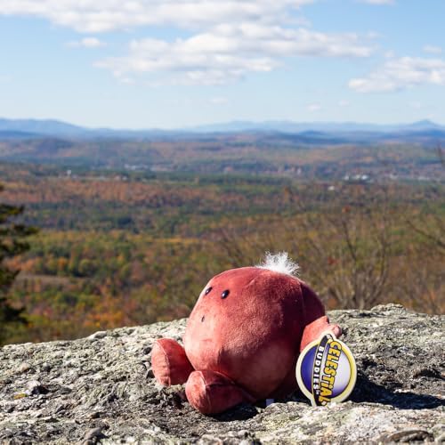 Celestial Buddies Mars Buddy | 9" Soft Stuffed Plush, Embroidered Features, Fun Red Planet Facts Tag for Kids – STEM Learning, Educational Gift