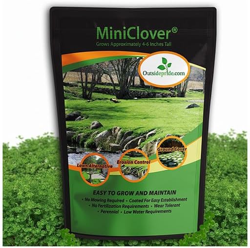 Outsidepride Perennial White MiniClover Seed - 1/4 lb. Dwarf, Small-Leaved, Drought & Wear-Tolerant Micro Clover Seeds for Lawn, Ideal Low-Maintenance & Easy to Grow Ground Cover Seeds for Home Yard