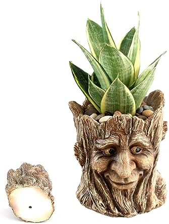 Funny Planter Head Face Plant Pot with Drainage Hole Resin Succulent Plant Holder Pencil Holder Desk Organizer Office Garden Gift (Smile Face)