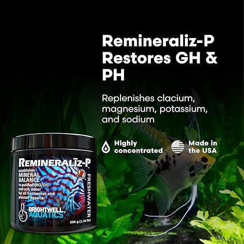 Brightwell Aquatics Remineraliz P - Reconstitutes Reverse Osmosis, Deionized, or Distilled Water for Freshwater Aquarium Use 1000-g