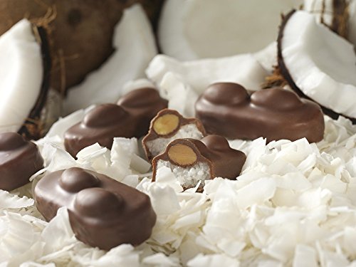 ALMOND JOY Coconut and Almond Chocolate Snack Size, Candy Bars, 0.6 oz (8 Count)