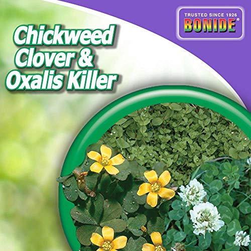 Bonide Chickweed, Clover & Oxalis Killer, 128 oz Ready-to-Use Spray | Controls Weeds & Roots Without Harming Lawn