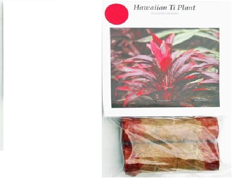 Hawaiian Red Ti Plant Logs ~ Grow Hawaii by Kanoa Hawaii