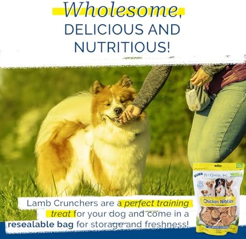 PCI Pet Center Inc. - Chicken Nibbles Dog Treat – 100% Real Raw Dehydrated Chicken Breast Bites for Small, Medium & Large Dogs - 8oz Bag