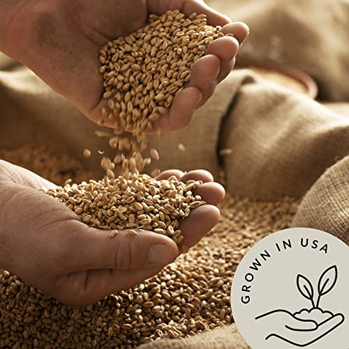 Organic Soft White Wheat Berries 5.8lb - Healthy Whole Grains Bulk | Ideal for Feeder Oats, Flour, Bread, Soup - High in Protein & Fiber - USA Grown | USDA Certified | Vegan | Non-GMO