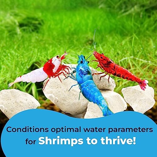 JOR Water Conditioner Calcium Rocks for Baby Shrimps, Isopods, and Crayfish, Enhances Pet Color, Provides Hideout, Breeding Spot