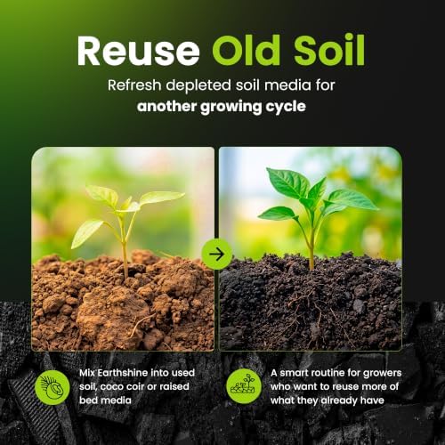 GreenGro Earthshine Biochar & Humic Acid Blend, Activated Charcoal, 2lb | Sequesters Carbon, Organic Soil Booster, Top Soil, Plant Food, Compost Tea Accelerator, Derived from Worm Castings