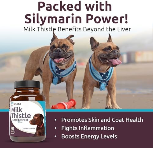 Milk Thistle for Dogs, 100mg - 60 Vegetable Capsules - Canine Liver Health Milk Thistle Supplement - Milk Herbal