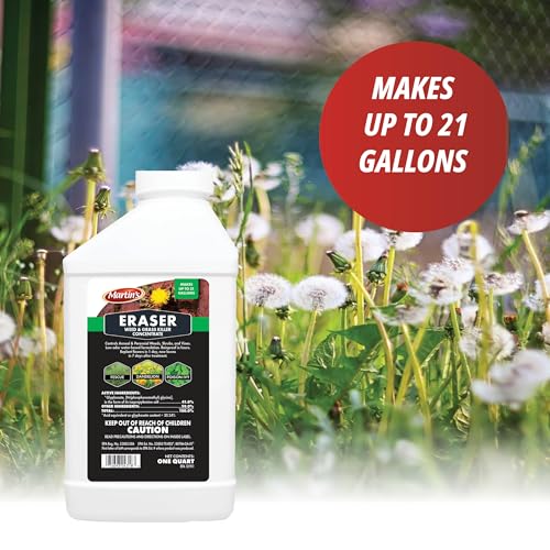 Control Solutions 82004318 1 Quart Eraser & Grass Killer Concentrate Weed Killers | Low-Odor, Water Based Formula, Effective Against Annual Weeds