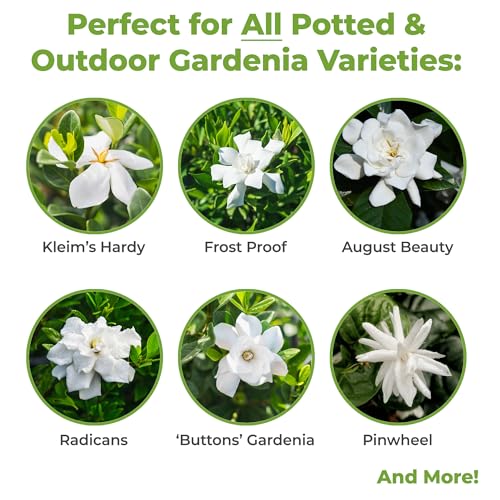 Perfect Plants Gardenia Liquid Fertilizer, 8 oz, Bloom Boost Plant Food