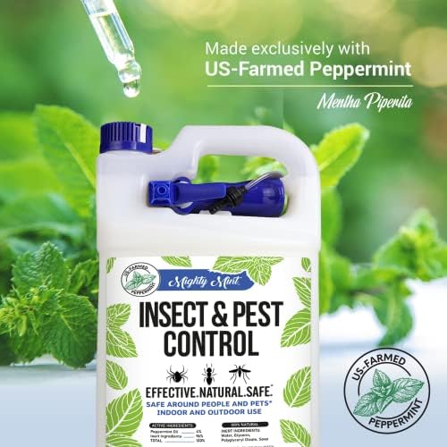 Mighty Mint Peppermint Oil Insect Repellent Spray, 16 oz | Natural Indoor & Outdoor Bug Control for Spiders, Ants, Roaches, Plant-Based, Extra-Strong Formula with Microfiber Cloth