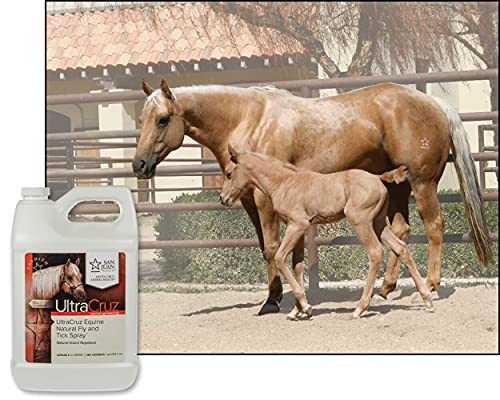 UltraCruz Equine Natural Fly and Tick Spray for Horses, 1 Gallon Refill