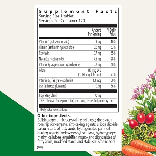 Floradix Iron Tablets - Iron Supplement with B Vitamins, Folic Acid, Vitamin C & More - Energy Support - Vegetarian & Gluten-Free - 80 Tablets (80 Servings)