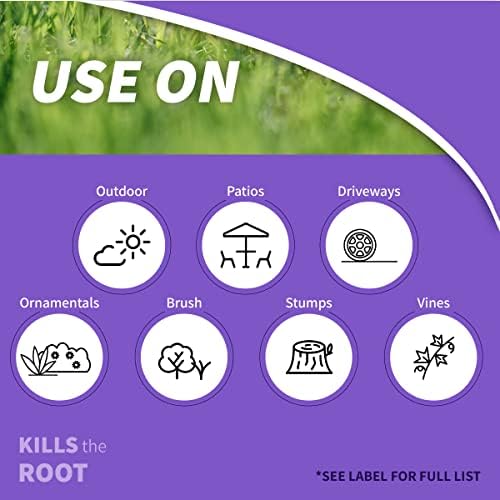 Bonide KleenUP Weed & Grass Killer Ready-To-Use, 128 oz
