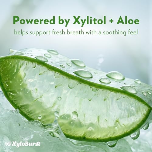 Xyloburst Oral Rinse Mouthwash - Natural Xylitol Mouthwash | Fluoride Free Mouth Wash | Alcohol Free Mouth Wash | Fresh Mint Mouth Rinse | SLS Free