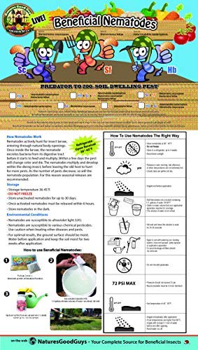 NaturesGoodGuys Beneficial Nematodes Steinernema feltiae SF - 5 Million