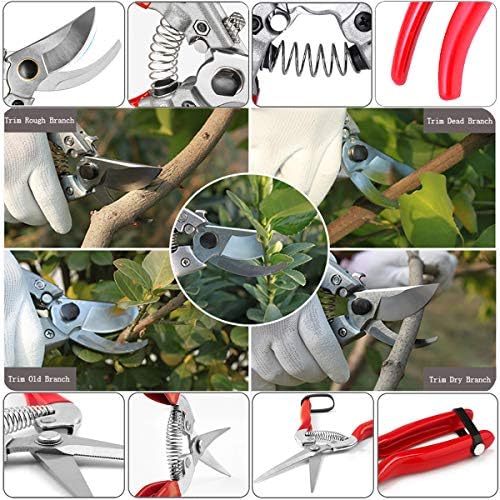 Pruning Shears with Stainless SK5 Steel Blades+Straight Tip Gardening Shears Garden Shears Garden Clippers Florist Scissors Hand Pruners Garden