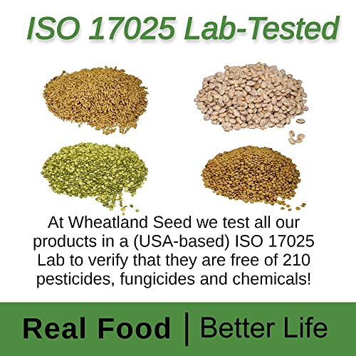Hard Red Wheat Berries : Wheatland™ : 25 lb Bulk: Emergency Preparedness : Mylar : Oxygen Absorber : 30 Year Shelf Life : Non GMO: NO Glyphosate :
