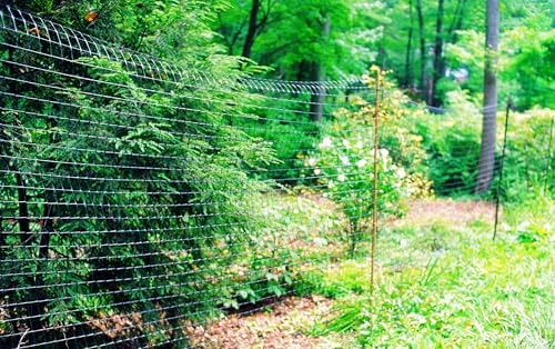Tenax 2A120053 Deer Fence C-Flex-T Economy 6'x165' Black