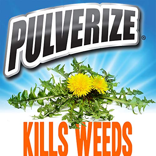 Pulverize Weed and Grass Killer Spray - Fast-Acting, Non-Selective Herbicide for Lawns