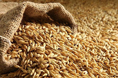 RAHR 6-Row Malted Barley 2 LBS CRUSHED Home Brewing Beer Making Recipe Ingredients Vacuum Sealed 1 Gallon Small Batch