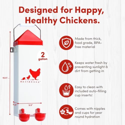 RentACoop 2 Gallon High Rise Chicken Waterer with Cups & Nipples