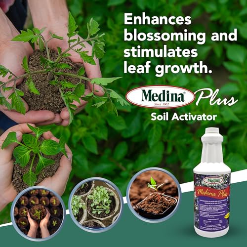 Medina Plus Soil Activator - Liquid Soil Loosener for Lawns & Gardens - Micronutrient-Rich Soil Conditioner & Softener - Used with House Plant Fertilizer, Liquid Plant Food for Houseplants - 1 End Qt