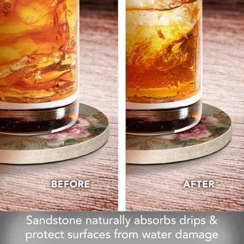 Thirstystone Paeona II Natural Sandstone Coaster 4 Pack | 4” Diameter, Manufactured in the USA, Protective Cork Backing