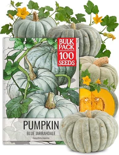 Seed Needs Pumpkin Seeds to Plant 100 Seeds Spooky Mix Non GMO Bulk Pack