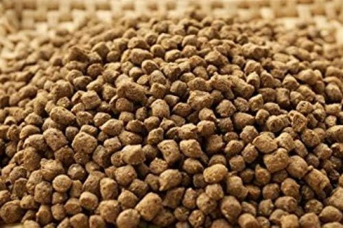 Nature's Canvas Catfish Feed Big Strike 32% Protein Floating Fish Food 40 Pounds