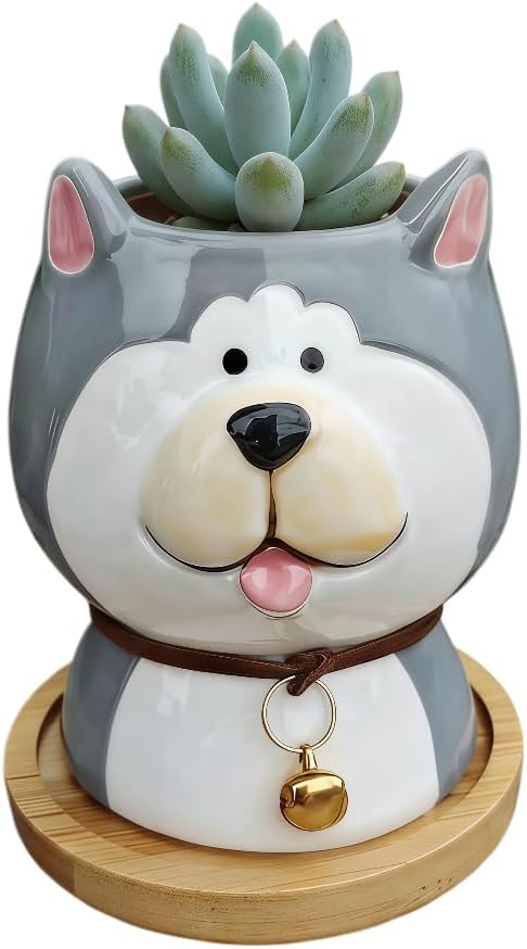 Cuteforyou Succulent Pots,Cute Animal Shaped Cartoon Ceramic Succulent Cactus Flower Planters -Plant Not Included，Cat