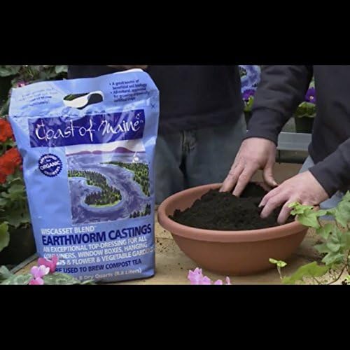 Coast of Maine Wiscasset Blend Earthworm Castings Top Dressing Soil for Containers, Baskets, and Flower and Vegetable Gardens, 8qt