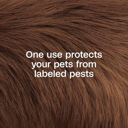 ADAMS Plus Pyrethrin Flea Dip For Dogs and Cats, Kills & Repels Ticks, Lice, Gnats, Mosquitoes, Fleas & Flies, For dogs, cats, puppies, and kittens, 4 Fl oz