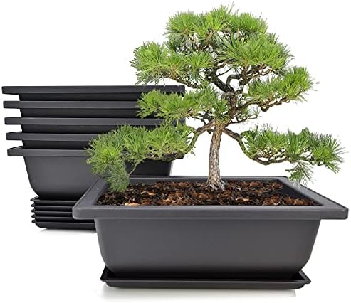 MUZHI 6PCS/Pack Retro Style Basin Plastic Flower Pot 6.5 Inch Flower Bonsai Tree Plant Bowl Nursery Pots Maceta Cuadrada Simulational Purple Sands Pots with Tray Rectangle Small